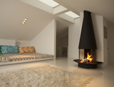 Special Design Fireplaces - TSR 101